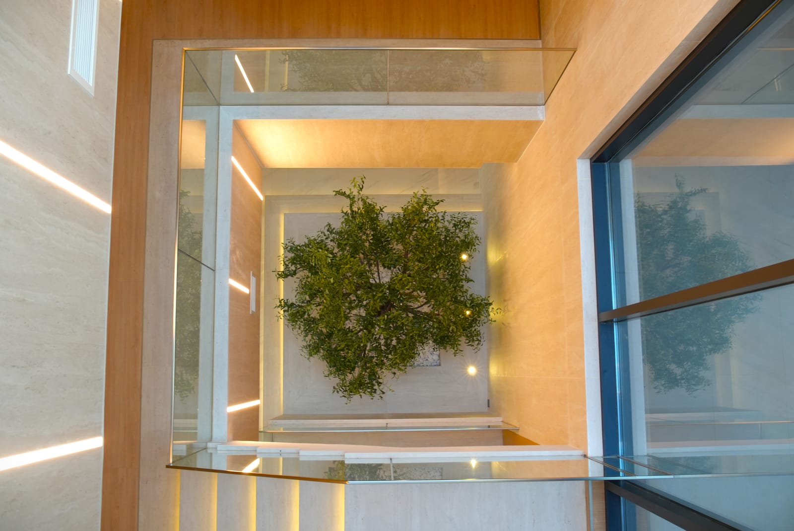 Double-height atrium with a mature tree framed by backlit stone and a glass-edged void